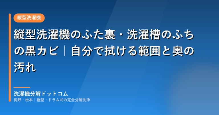 縦型洗濯機のふた裏・洗濯槽のふちの黒カビ｜自分で拭ける範囲と奥の汚れ